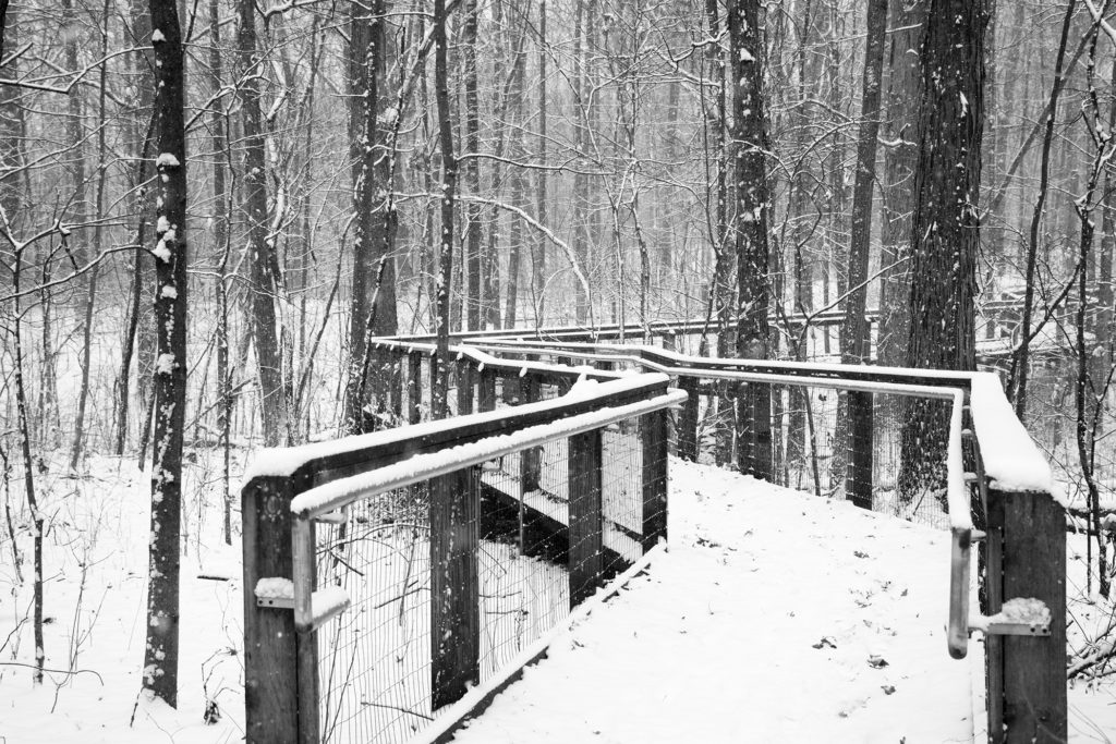 Wooden walkway at Lindenwood Nature preserve in the snow